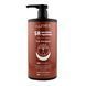 Шампунь для жирного типу шкіри SR SECRETION REGULATOIN hair shampoo FF00023-3 фото 1