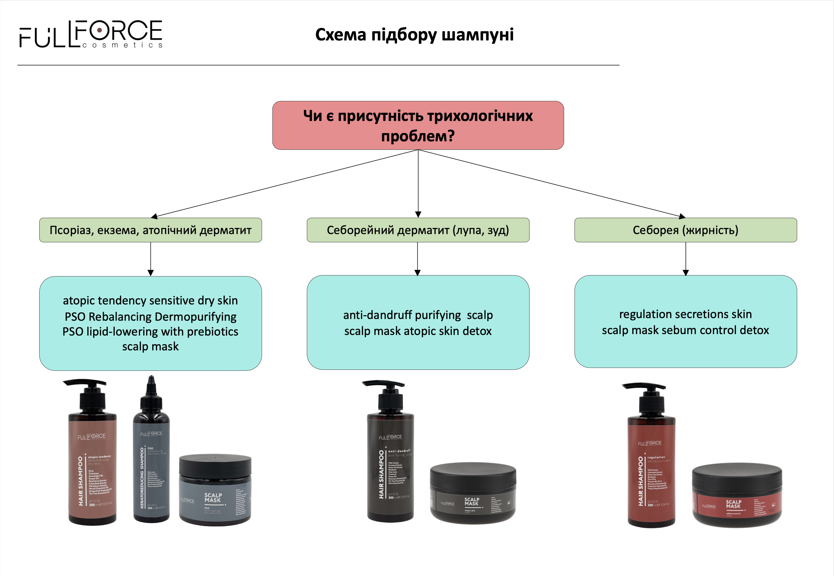 Схема підбору кондиціонеру та маски для волосся Full Force Cosmetics